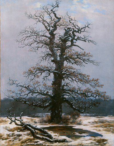 Quercia nella neve da Caspar David Friedrich